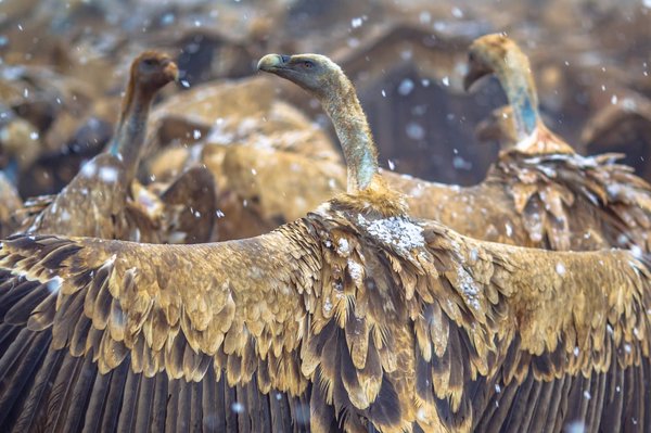 À la découverte des villages perchés de la Côte d'Azur