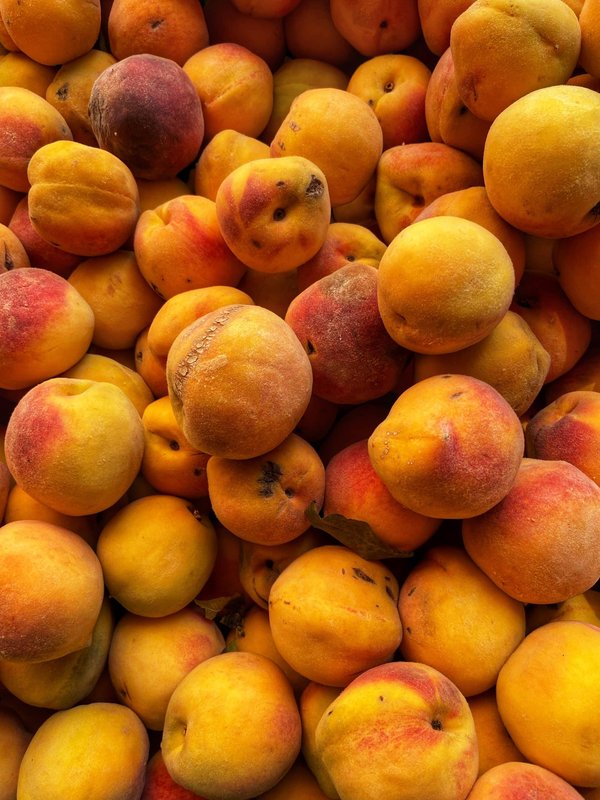 Comment vivre une expérience de pêche en haute mer en Floride ?